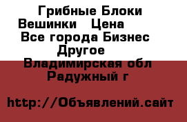 Грибные Блоки Вешинки › Цена ­ 100 - Все города Бизнес » Другое   . Владимирская обл.,Радужный г.
